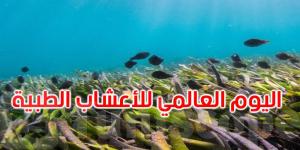 اليوم العالمي للأعشاب البحرية: الأمم المتحدة تؤكد ان 21 بالمائة من الأصناف مهدّدة بالانقراض