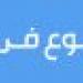 استمرار انقطاع الكهرباء عن أكثر من 200 ألف منزل باستراليا بعد مرور إعصار ألفريد