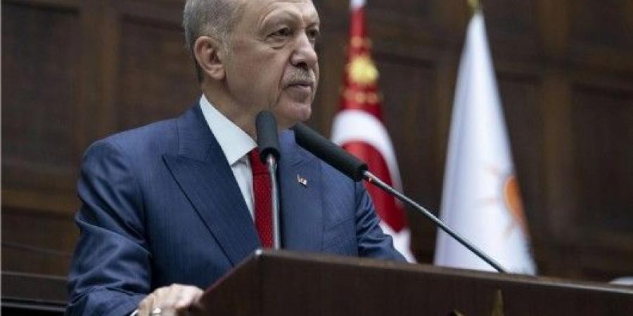 أردوغان: لا يمكن إيجاد حل بشأن أوكرانيا بدون مشاركة موسكو وكييف