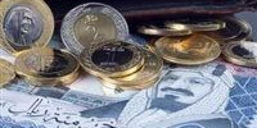 سعر الريال السعودي اليوم في مصر