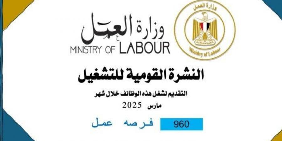 في 10 محافظات.. «العمل» تُعلن عن 960 فرصة عمل جديدة «التخصصات وكيفية التقديم»